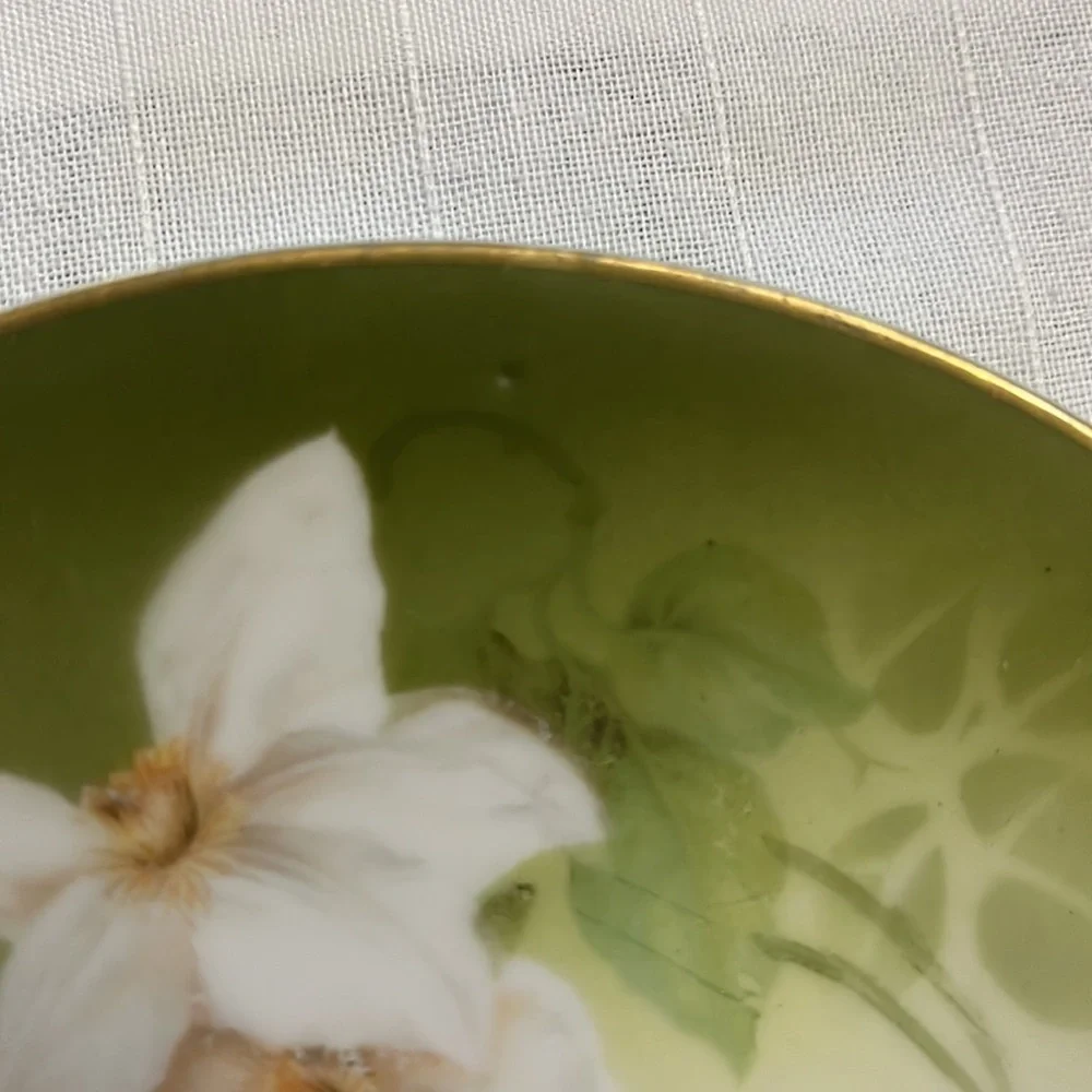 Antique delicate white floral design on porcelain plates RS Tillowitz Germany